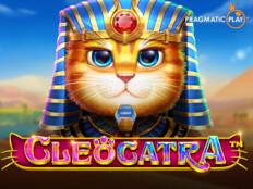 Muhabbet kuşu çilek yer mi. Casino slot strategy.84